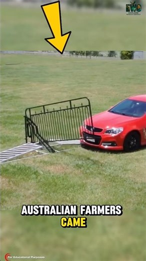 This Australian Gate Opens When You Drive Over It — No Remote Needed. #documentary#usashorts#fyp