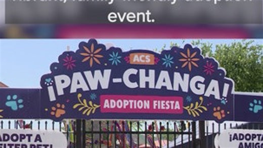 Animal control service Pawchanga fiesta