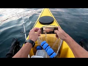 Have a great time kayaking on the sea