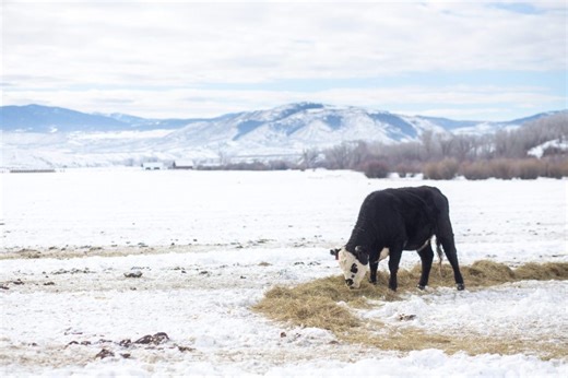 Western Slope lawmakers propose bills to boost support for Colorado farmers, ranchers