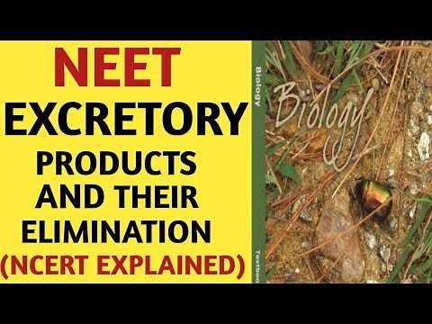 Excretory Products And Their Elimination/Class 11/NCERT/Chapter 19/Quick Revision Series/NEET/AIIMS