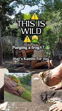 All about Kambo the frog medicine #kambo #plantmedicine #amazonian