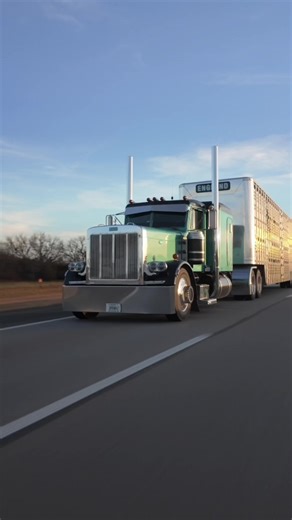 Exploring the Peterbilt Flattop Cattlepot Truck