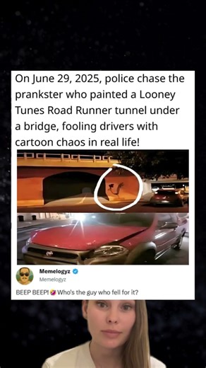 On June 29, 2025, police chase the prankster who painted Looney Tunes Road Runner tunnel