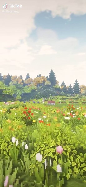 Exploring Minecraft Modded Worlds with Blisschen