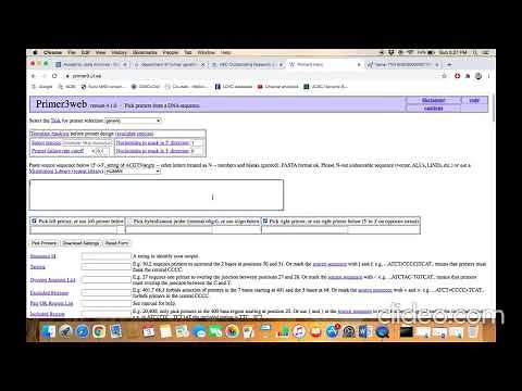 Primer Designing using Primer3web tool