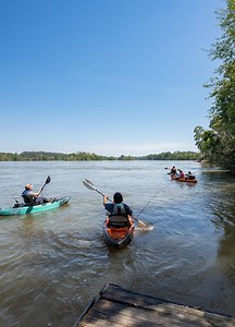 Serene18 | Best Paddling Trips in Georgia | Visit Columbia County