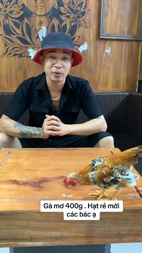 82K views · 1.1K reactions | Mơ mộng mộng mơ vậy mà vẫn cứ yêu các bác nhỉ . Gà em đăng bán … Vào ngày 17-4-2023 mà bây giờ nhìn lại vẫn ngon quý anh chị em ạ | Sam Gà | Facebook