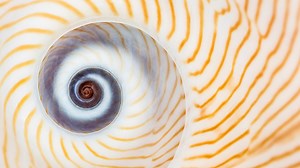 How to Fight Dizziness During Pregnancy