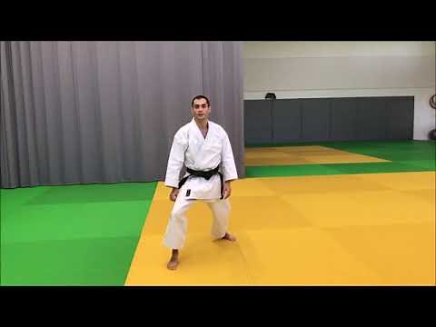 Tuto les positions principales du karaté shotokan