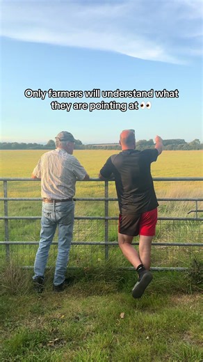 Understanding Sheep Behavior on the Farm