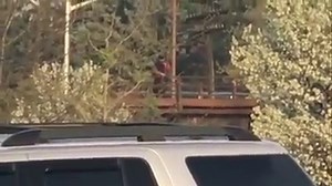 60K views · 775 reactions | BOWLING HEROES A man stood over Michigan Avenue and wrapped an extension cord around his neck. Ian and Chris, a couple of Wayne Bowlers, jumped into action to save his life: | FOX 2 Detroit | Facebook