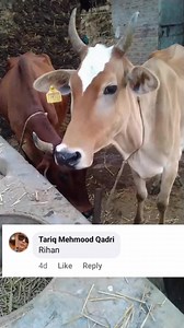 Muhammad Mohsin on Reels