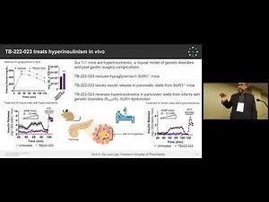 Synthetic DNA Technologies Enable the Discovery of G Protein-Coupled Receptor Antibody Ligands
