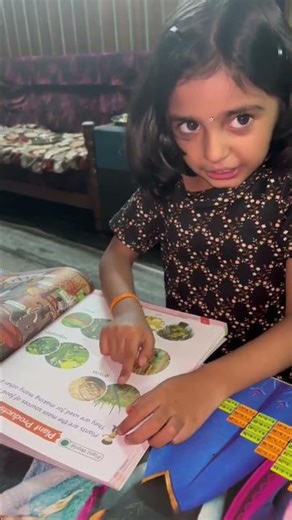 Ukg lessons plant products #ukg #plantproducts #ukgclasswork #ukgclass #cbse #evs