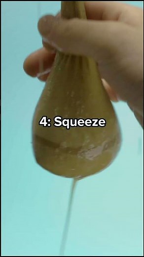 Diy digestive system: a fun science experiment#digestive #system #science #education