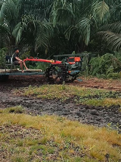 Traktor dalam Hutan: Aksi Seru dan Menarik
