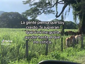 Videos de Andres Vergel (@andres.vergel2) con “sonido original - Andres Vergel”