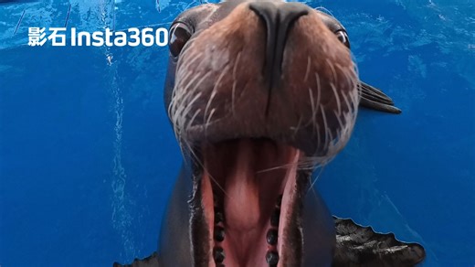 不是哥们？你和我说这不是AI⁉️