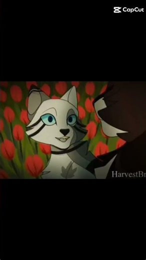 hawkfrost edit#hawkfrost#ivypool