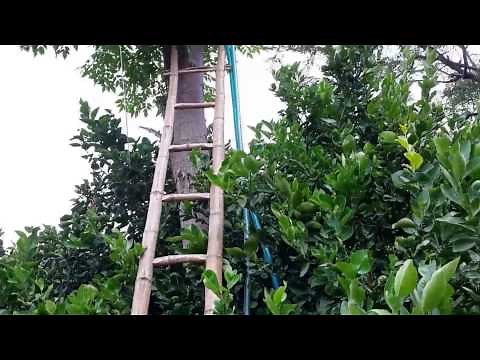 Testing the 12V DC pump (10m head) M123T-10