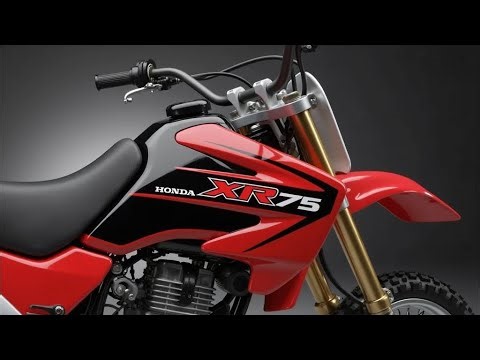 2026 Honda XR75 – The LITTLE Dirt Bike That Just BLEW EVERYONE’S MIND!
