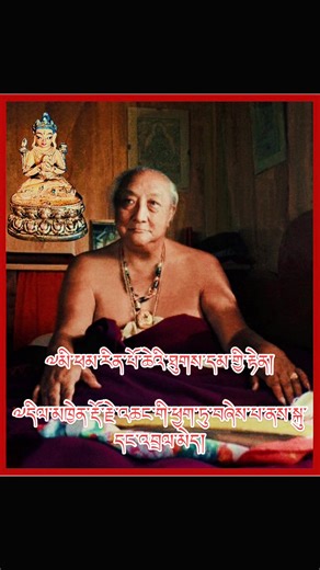 Sacred Tibetan Buddhist Relic at Shechen Monastery