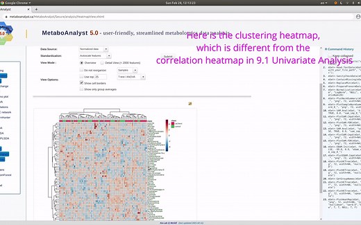 MetaboAnalyst 5.0 - Statistical Analysis (Other analysis)