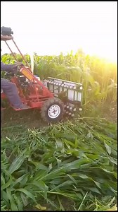 15K views · 126 reactions | Reaper Machine UAN: 03-111-125-100 | AGRO POWER | Facebook