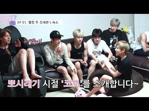 [GOT7 TV] EP 01. Welcome to GOT7's Home (ENG SUB)