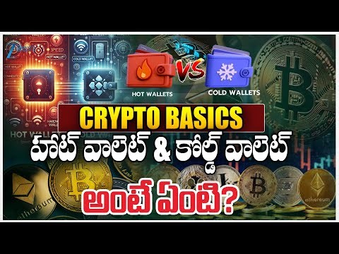 Hot Wallet vs Cold Wallet: Which Is Safer for Your Crypto?” | ZEE Telugu News