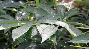 Jio v Airtel v Vodafone v Idea: 1GB 4G Data Per Day Plans Compared