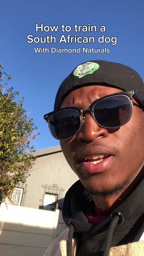 doqtercabbage on TikTok