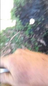 pulling liners from a case 580c backhoe