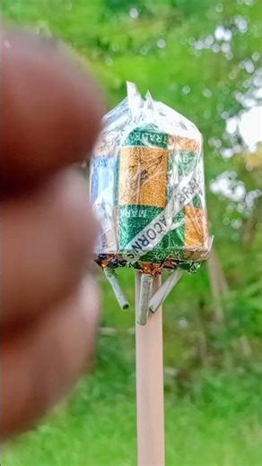 diwali rocket mini bulet bum Crazy With Sammi