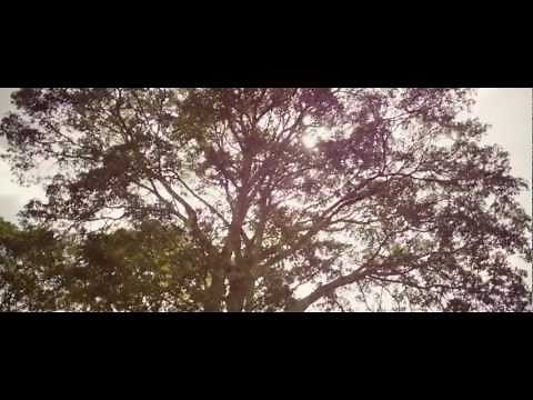 Something Necessary Official Trailer