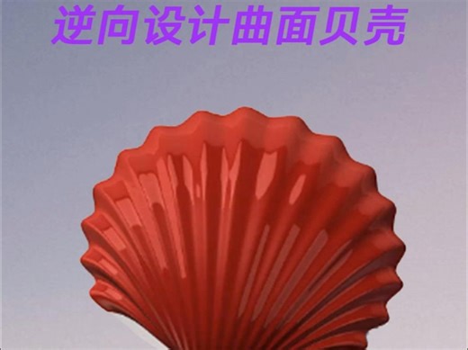 solidworks逆向设计曲面贝壳