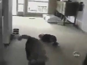 282K views · 5.1K reactions | Como pode ser tão pequenininho e tão esperto desse jeito hahahaha Eu tmb tenho um bebê assim .....rs Depois dizem que eles não entendem nada , HATÁ kkkkk Me siga nas redes sociais Canal no YouTube DANIELE OLIVEIRA : https://www.youtube.com/channel/UCU3QYt-Pe7QthRoXLY58EWw?spfreload=10&app=desktop Snap: danymaededois Instagram: @danyele_oliveira_ | Mamãe com Manual por Daniele Oliveira | Facebook