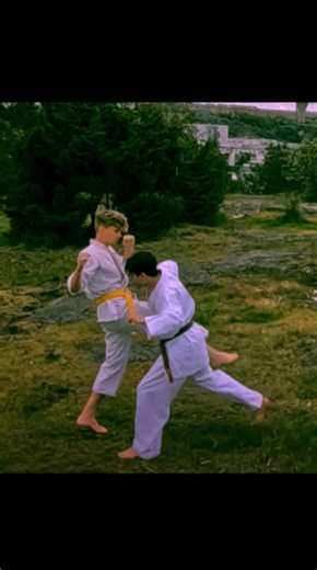 How to counter a front kick with perfect timing