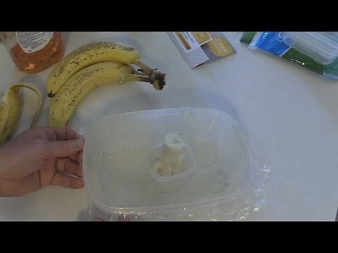 Worlds Best Gnat / Fruit Fly Trap - It really works GREAT on those fruit Flies!