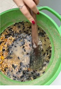 Comida fermentada para gallinas de mi mamá