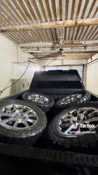 Returning Home to Michigan: A Heartwarming Journey