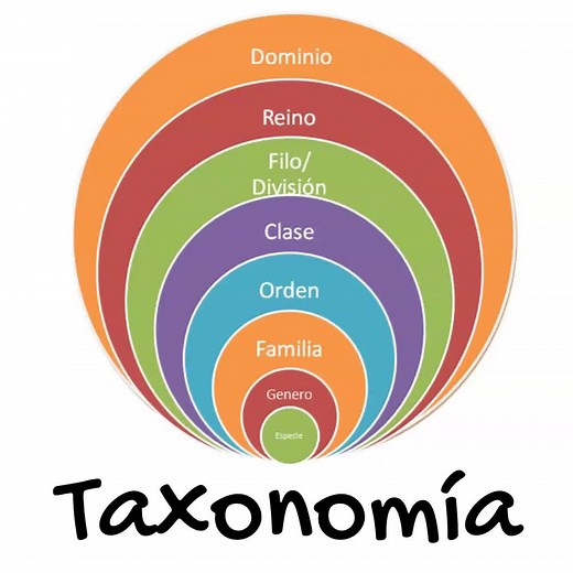 Taxonomía y Sistemática en Biología: Un Viaje de Conocimiento