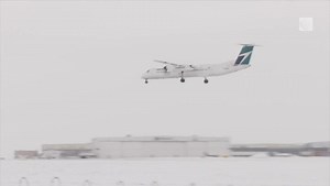 Video - The Weather Network