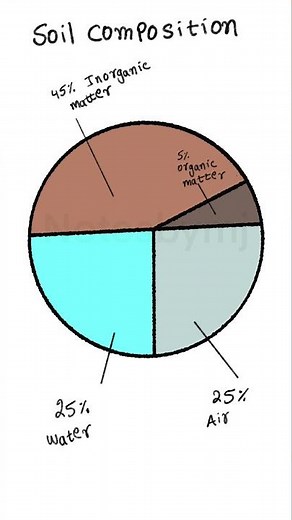 🌱 Soil Composition Explained in 15 Seconds | Labelled Diagram for Students #soilcomposition