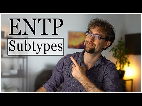 4 Types of ENTP