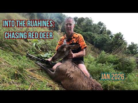 Into the Ruahines: Chasing Red Deer