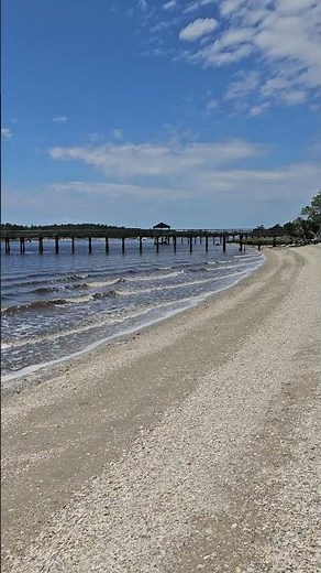 Shell Beach at Vereen Gardens | Ancient Shoreline on the SC/NC Border