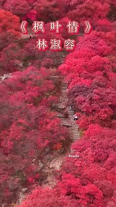 好歌听出好心情 | Jess Lee