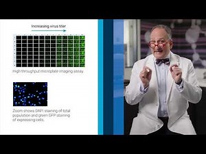 Optimize Transfection Efficiency with Cytation and Gen5 Analysis
